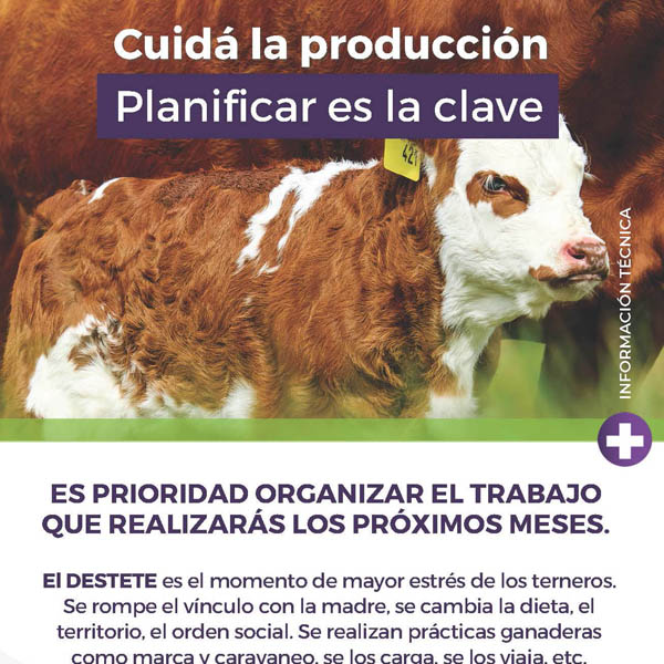 Información Técnica: Cuida La Produccion.