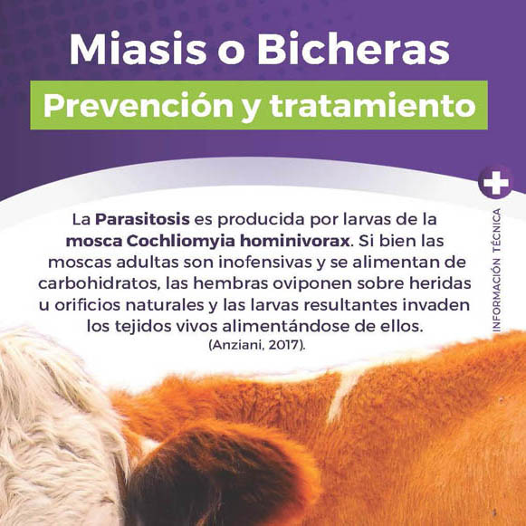 Información Técnica: Miasis o Bicheras.