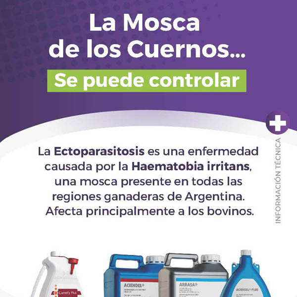 Información Técnica: Mosca de los cuernos.