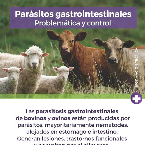Información Técnica: Parasitos Gastrointestinales.