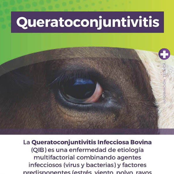 Información Técnica: Queratoconjuntivitis.