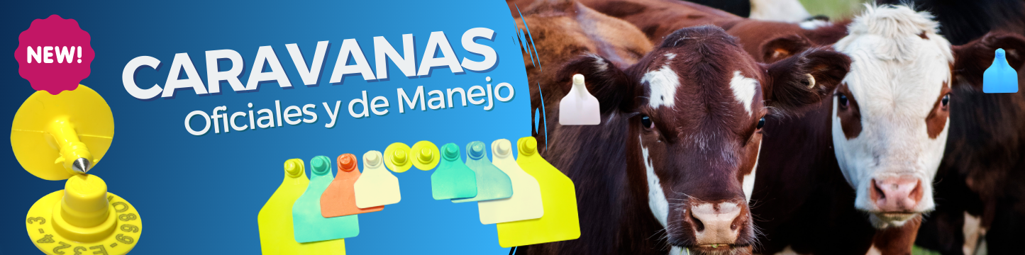 Banner CARAVANAS Y ACCESORIOS IDENTIFICACIÓN | Mundo Veterinario